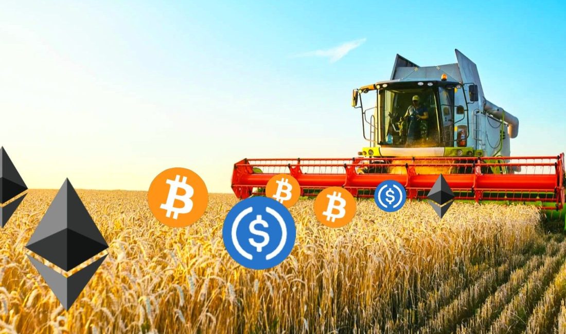 Kripto para yield farming'i kullanıcıların DeFi likidite havuzlarına fon sağlayarak