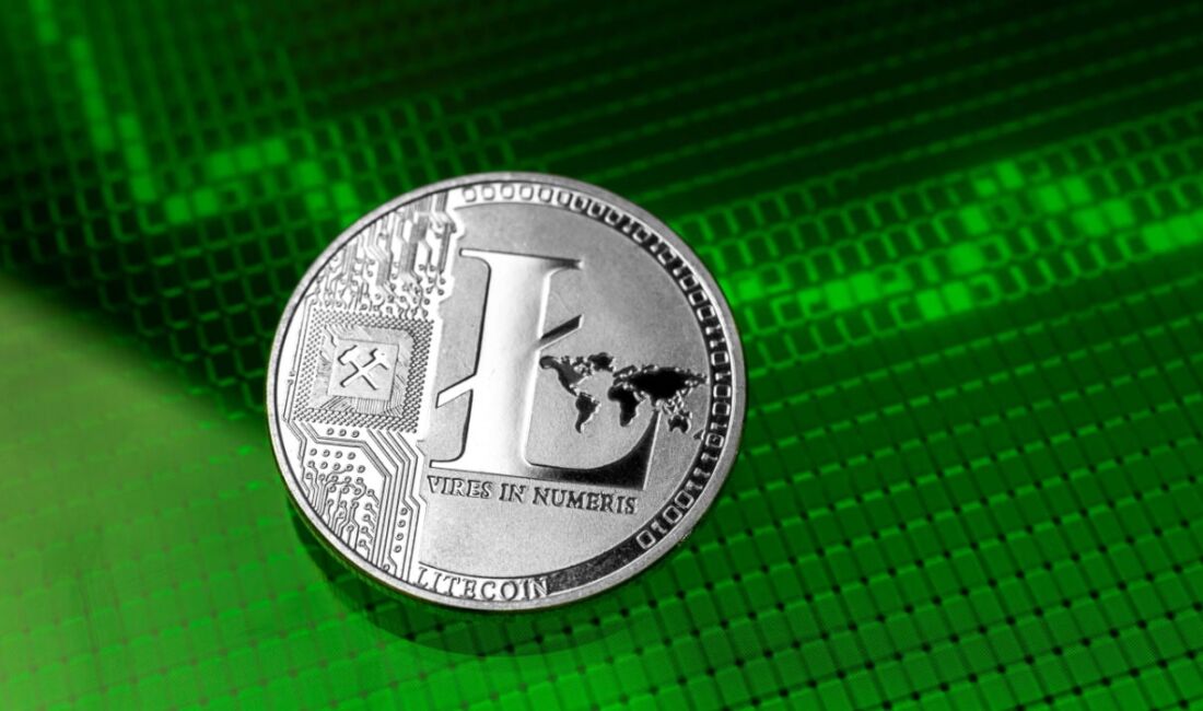 Litecoin, 2011'de piyasaya sürülen ve Bitcoin'in kodunun değiştirilmesiyle oluşturulan ilk