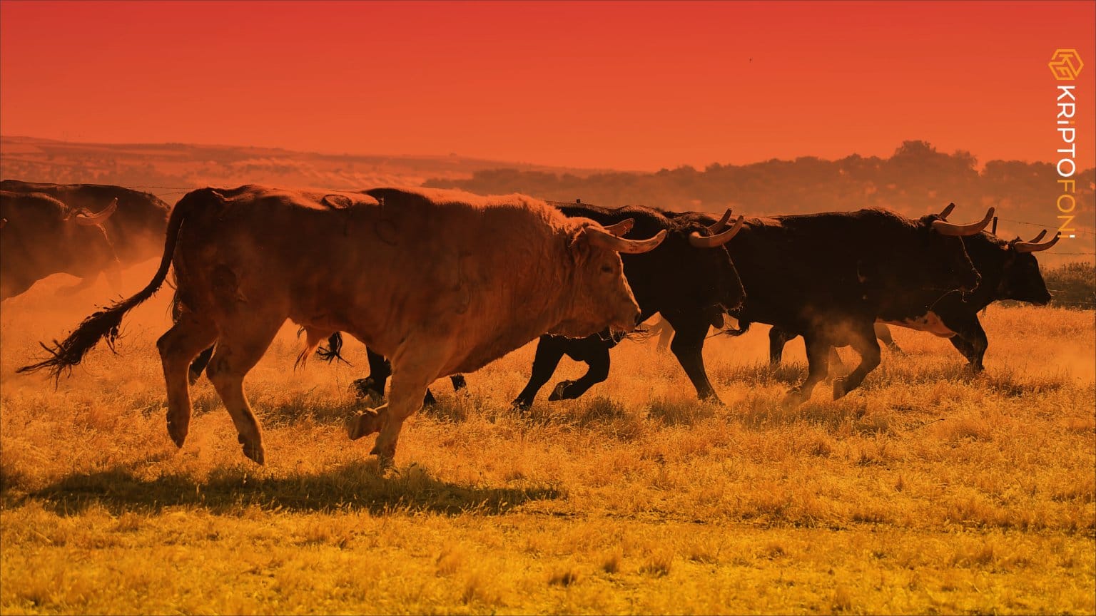 Anket: En Çok Tercih Edilen Kripto Paralar Neler? Real Vision Exchange tarafından düzenlenen bir anket ile yatırımcıların hangi