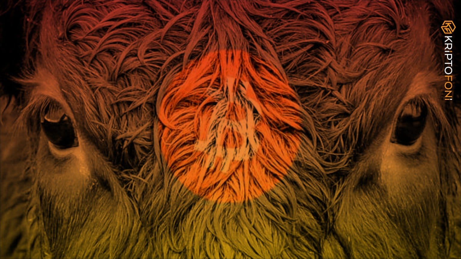 Geniş bir kesim tarafından takip edilen DonAlt isimli anonim kripto