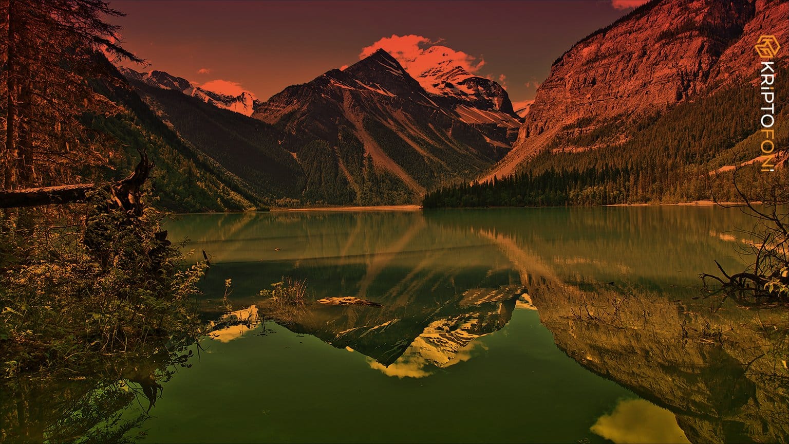 Teknoloji şirketi Ripple, Lincoln merkezli finansal hizmetler şirketi Nelnet ile