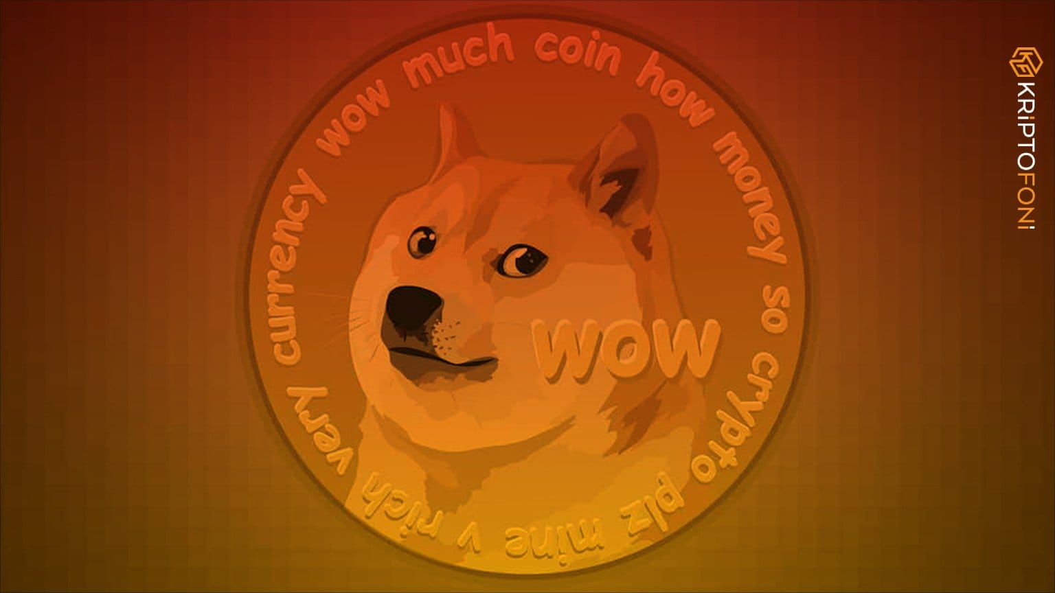 PAC Protokolü CEO’su David Gokhshtein, en popüler meme kripto para