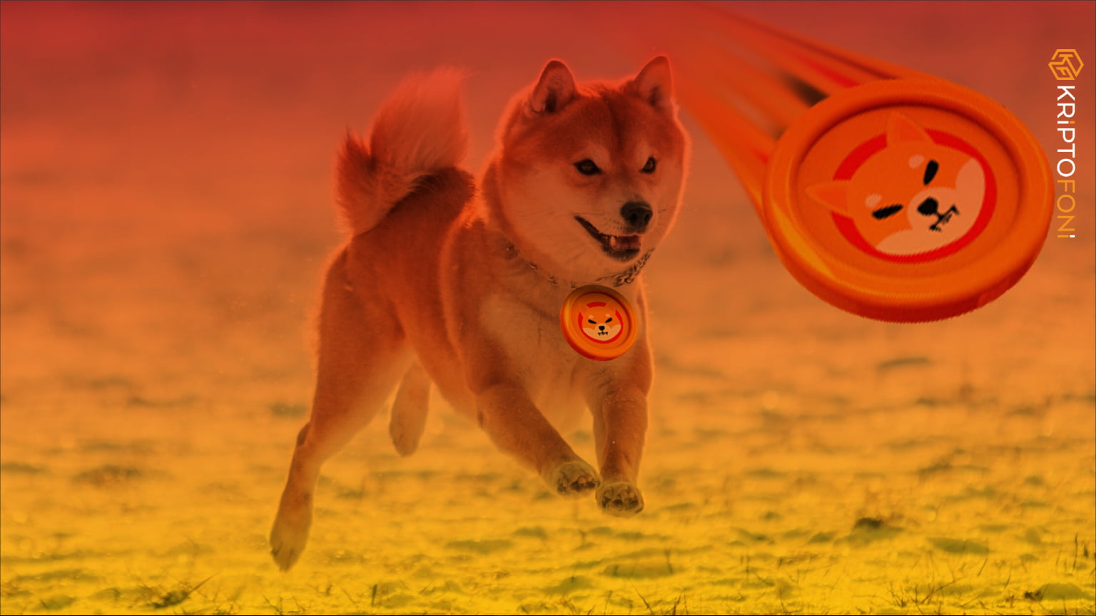 San Francisco merkezli kripto para borsası Kraken, Twitter üzerinden yaptığı