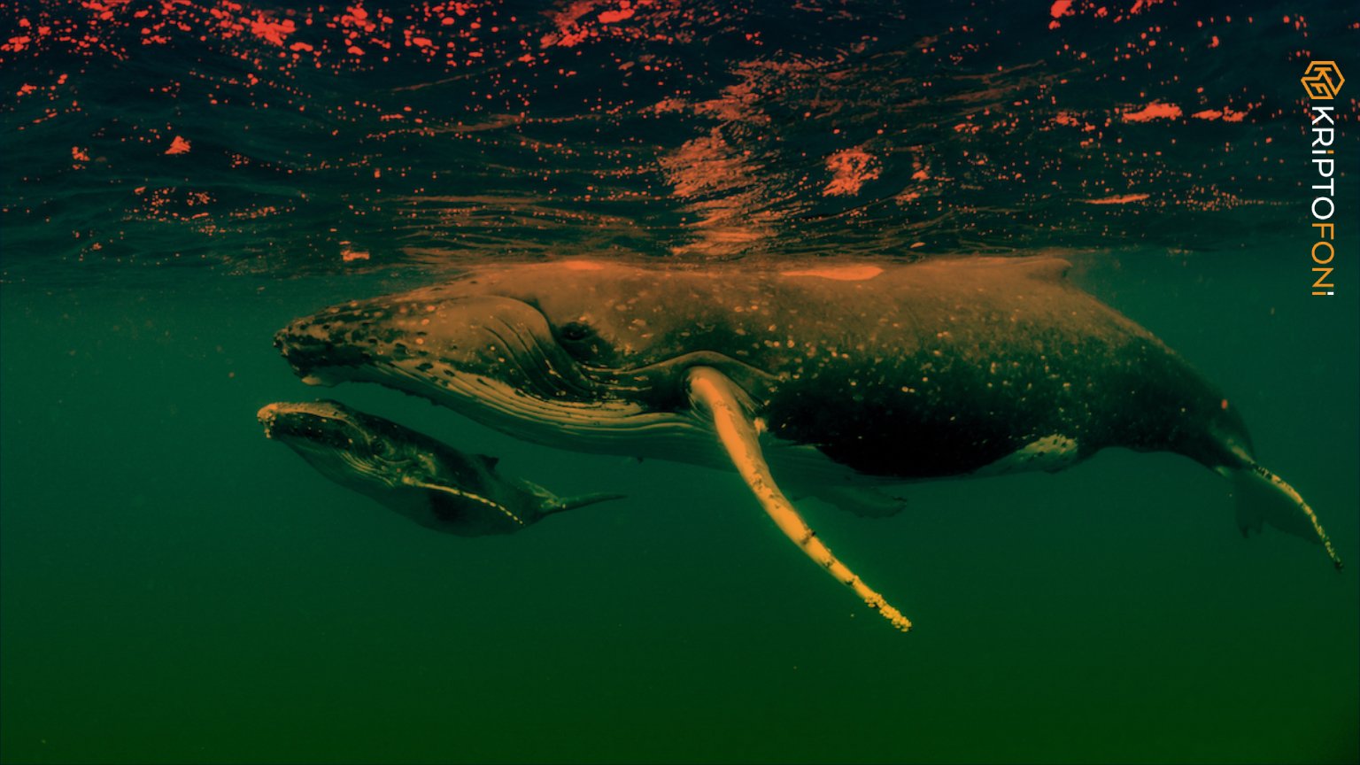 Bitcoin başta olmak üzere çeşitli kripto paraların blok zincirlerindeki büyük