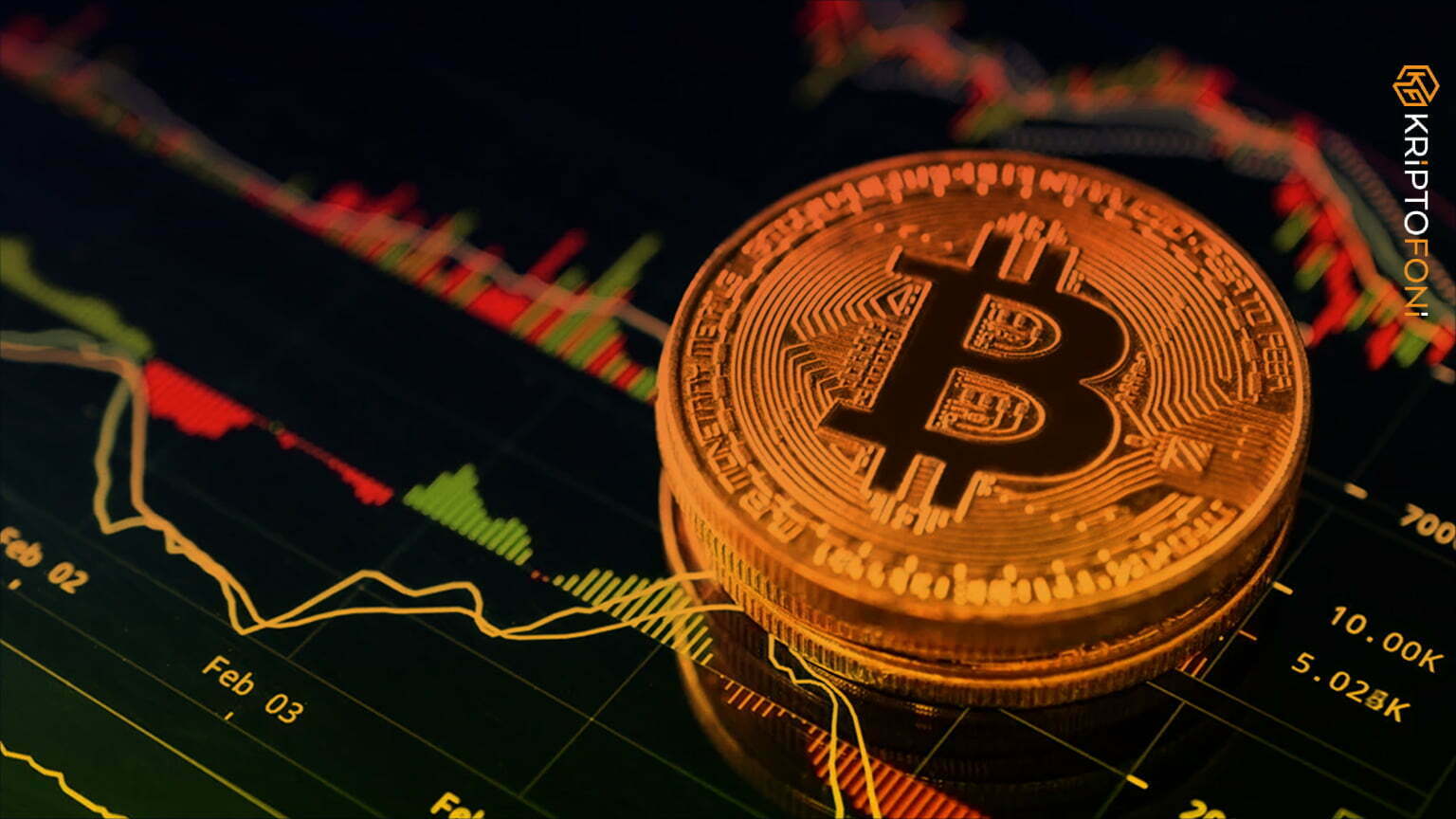 YouTuber ve kripto para stratejisti Scott Melker ile bir röportaj