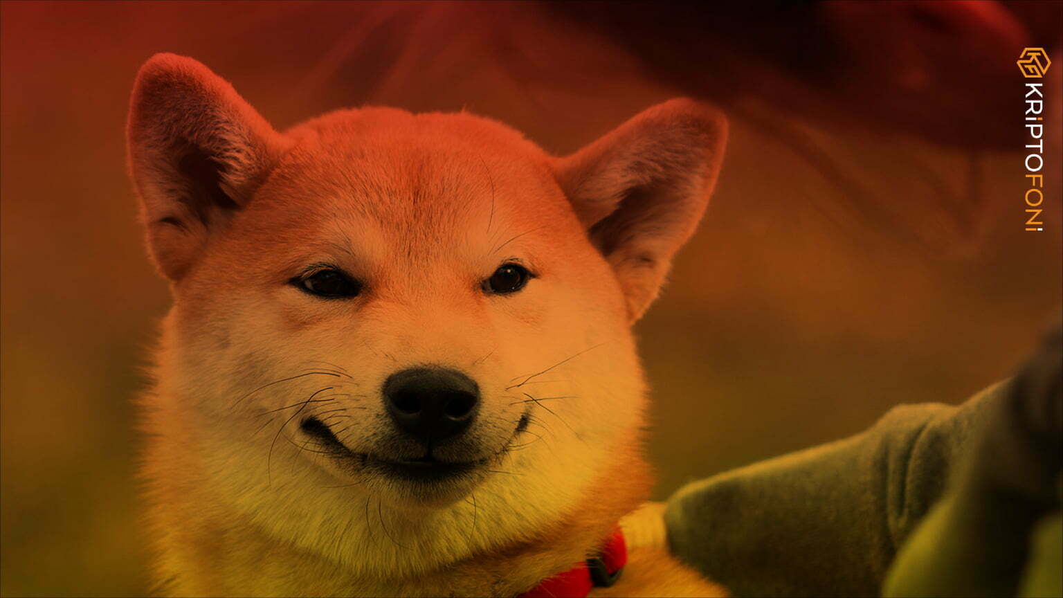 Deneyimli bir kripto para borsası olan Poloniex, kullanıcılarının artık en