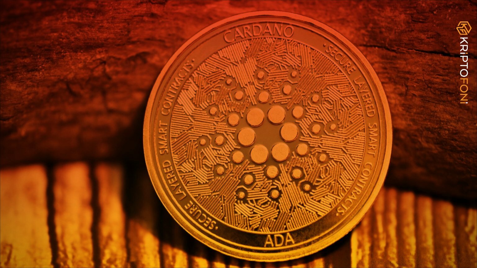 Kripto para analisti Benjamin Cowen, 630 binden fazla YouTube abonesine,