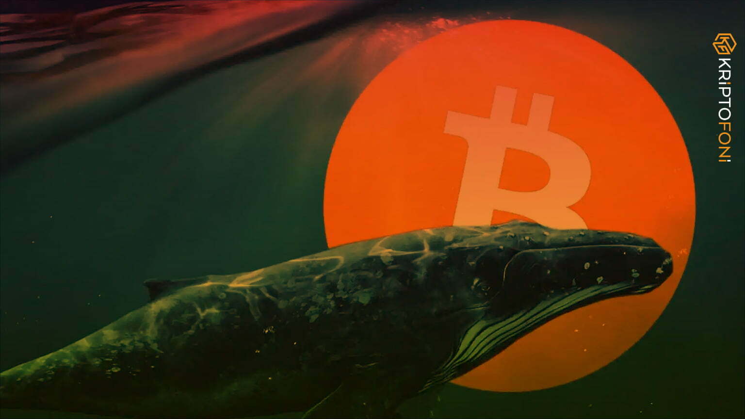 Morgan Creek Digital’in kurucu ortağı Anthony Pompliano, Bitcoin (BTC) balinalarının