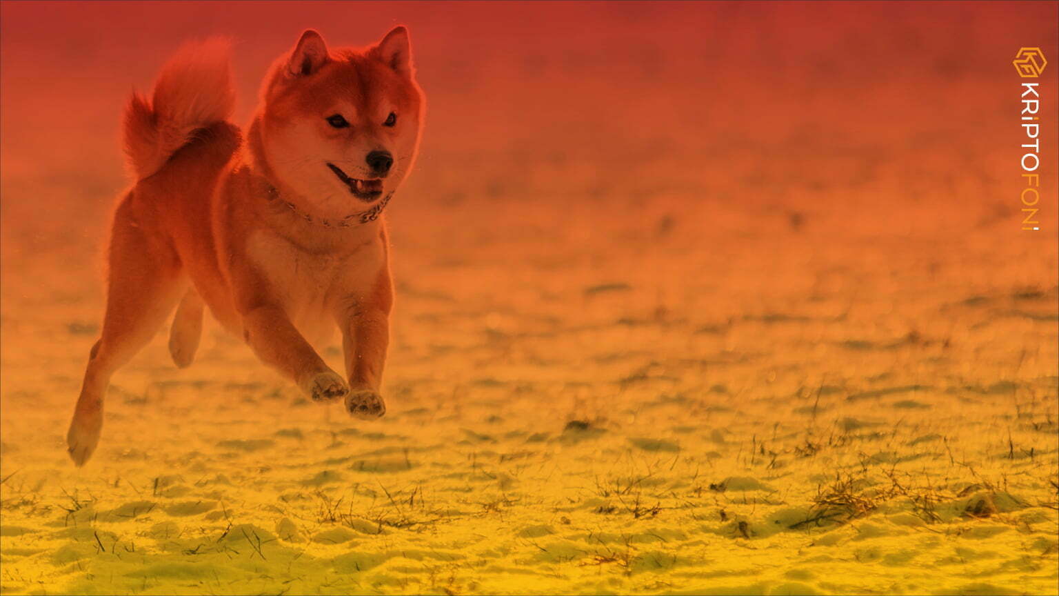 Shiba Inu Yükselişi ile Bu Altcoin’in Tahtını Ele Geçirdi CoinMarketCap verilerine göre Shiba Inu, piyasa değeri açısından Polygon’u (MATIC)