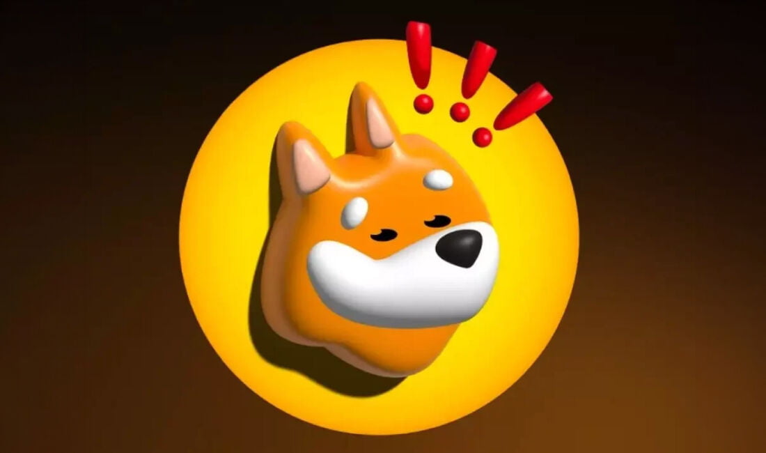 Meme coin Bonk, piyasadaki düşüşe rağmen yükseliş trendini sürdürerek direnç