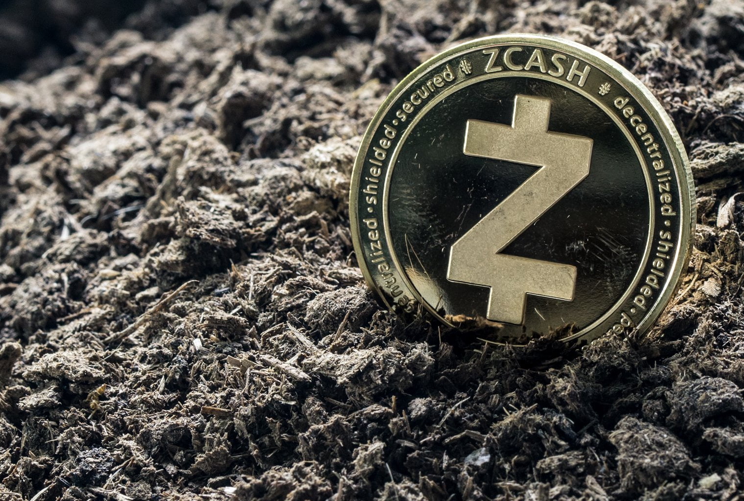 Zcash Nedir, Nasıl Çalışır? 7 Başlıkta ZEC Coin Geleceği, Yorum - 1
