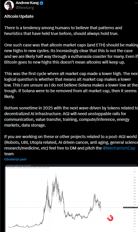 Altcoin Piyasasında 2025’e Kadar Dip Bekleyen Ünlü Analist Yeni Dalgayı Açıkladı - 1