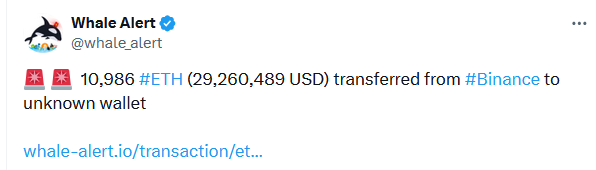 Balinalardan Ethereum Hamlesi! Devasa Alım Yaptılar - 1