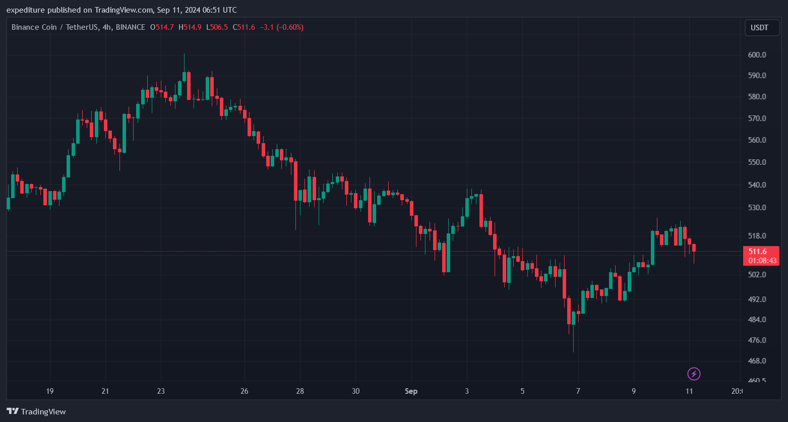 BNB Fiyatı 500 Doları Aştı! Binance Coin İçin Sırada 550 Dolar Var - 1