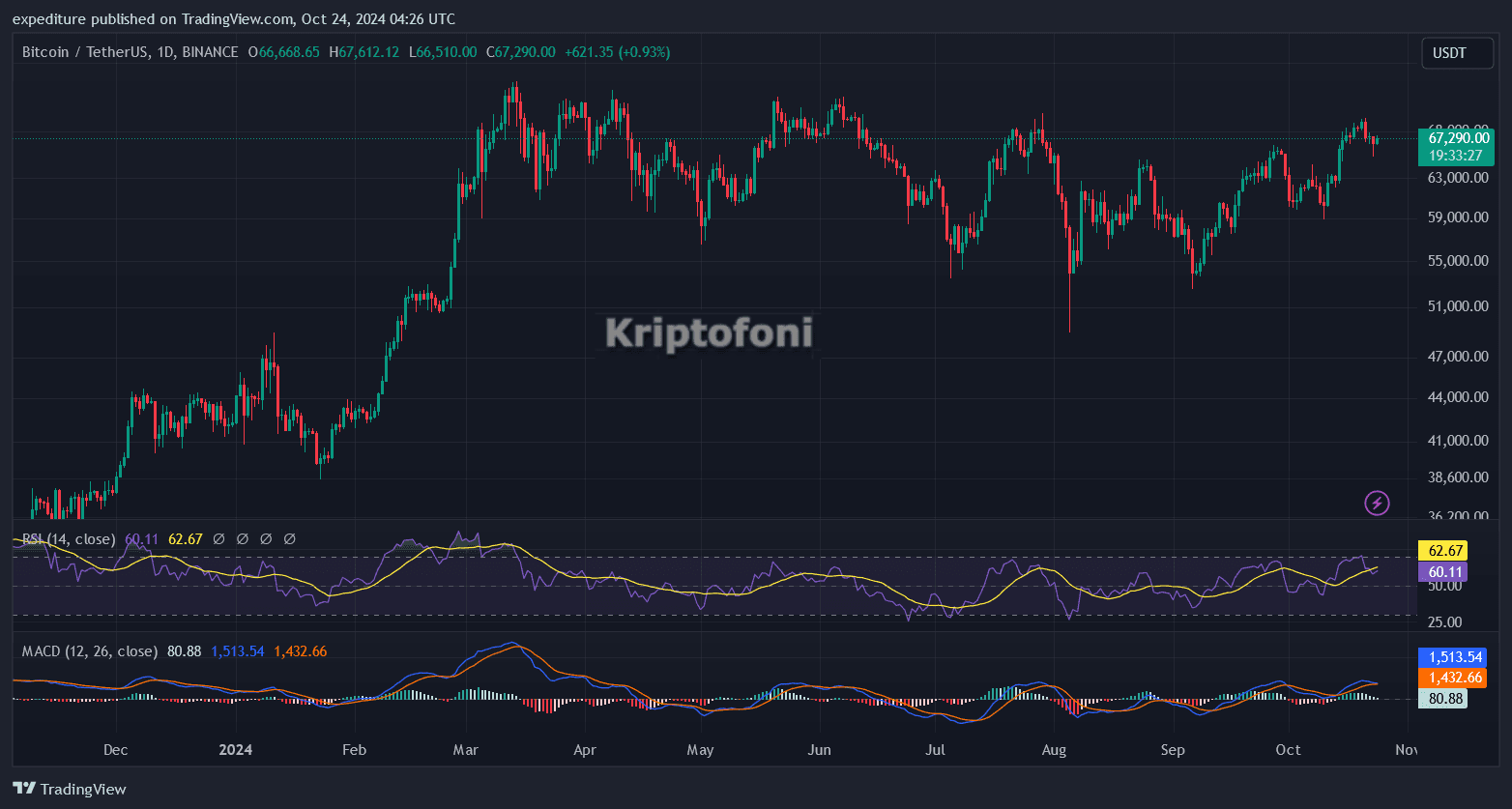 Bitcoin Fiyatında Artışın Şifreleri! Yatırımcıların Kilitlendiği Nokta