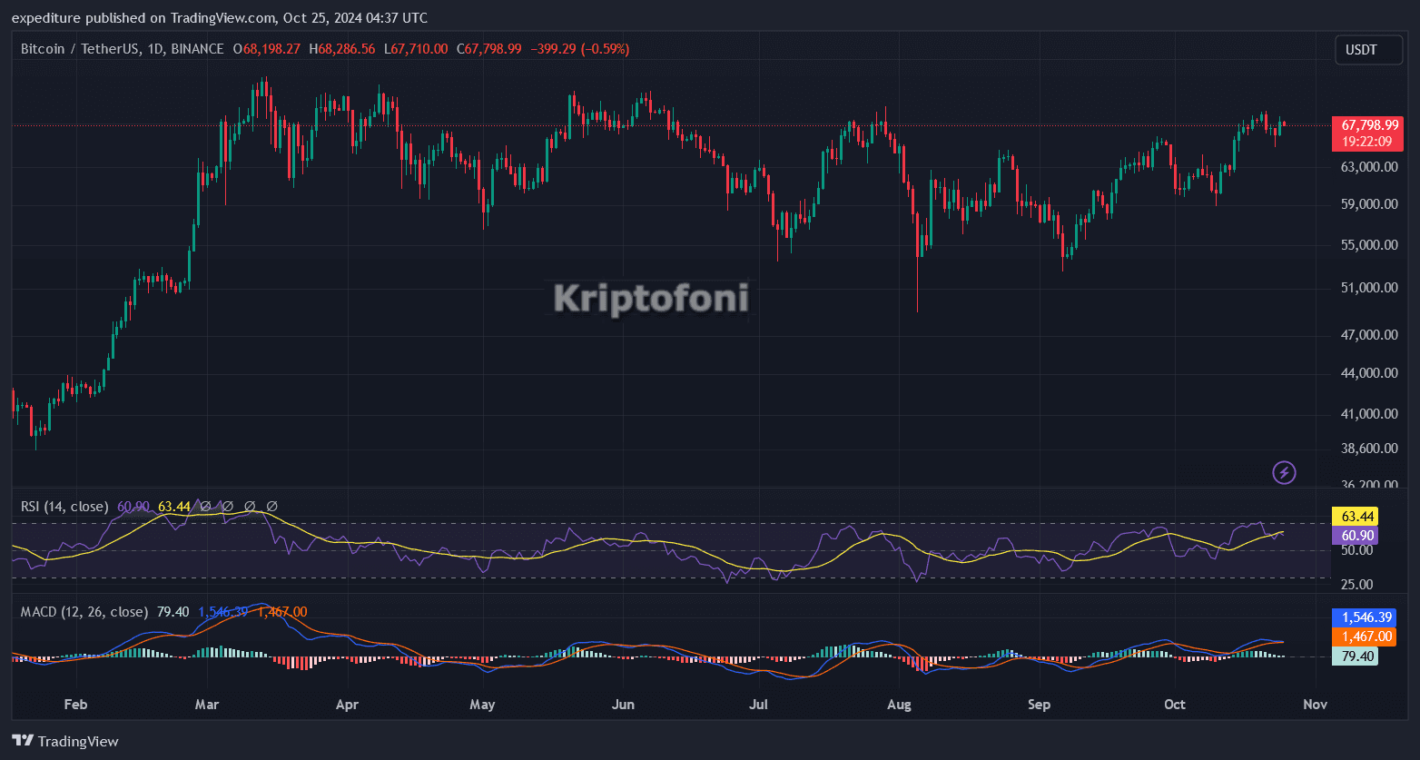 Bitcoin Fiyatı Yeniden Hareketlendi! Direnci Zorluyor