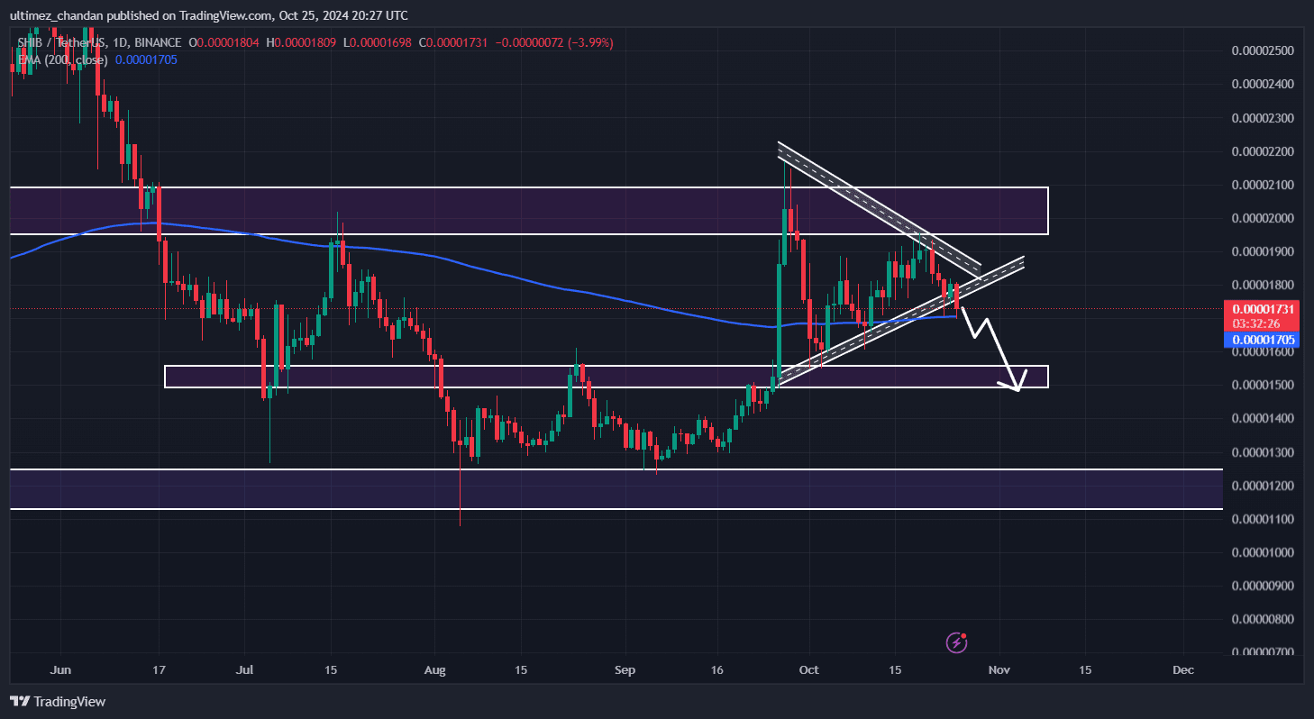 Shiba Inu İçin Büyük Düşüş Tehlikesi! Kritik Destek Bölgesini Test Ediyor! - 1