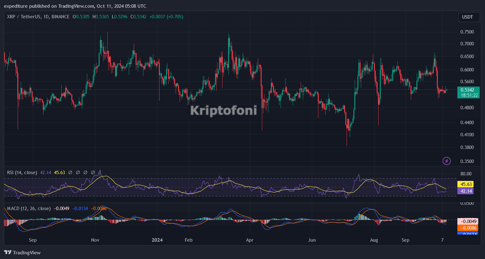 XRP Yatırımcısını Korkutacak Gelime! Artık Zorlanıyor