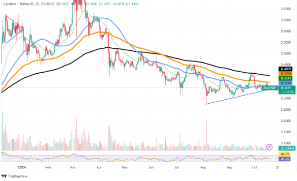 Özlenen Cardano Günleri! ADA Yatırımcıları Umutsuz - 1