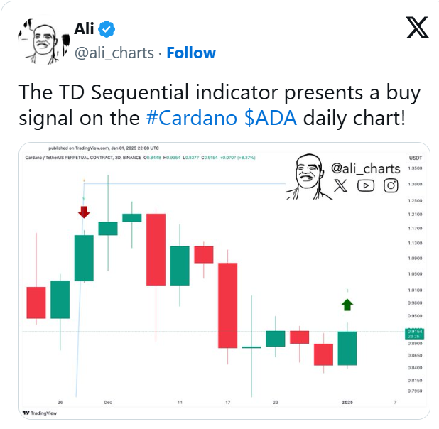 Cardano (ADA) Fiyatında Beklenmedik Gelişme - 1
