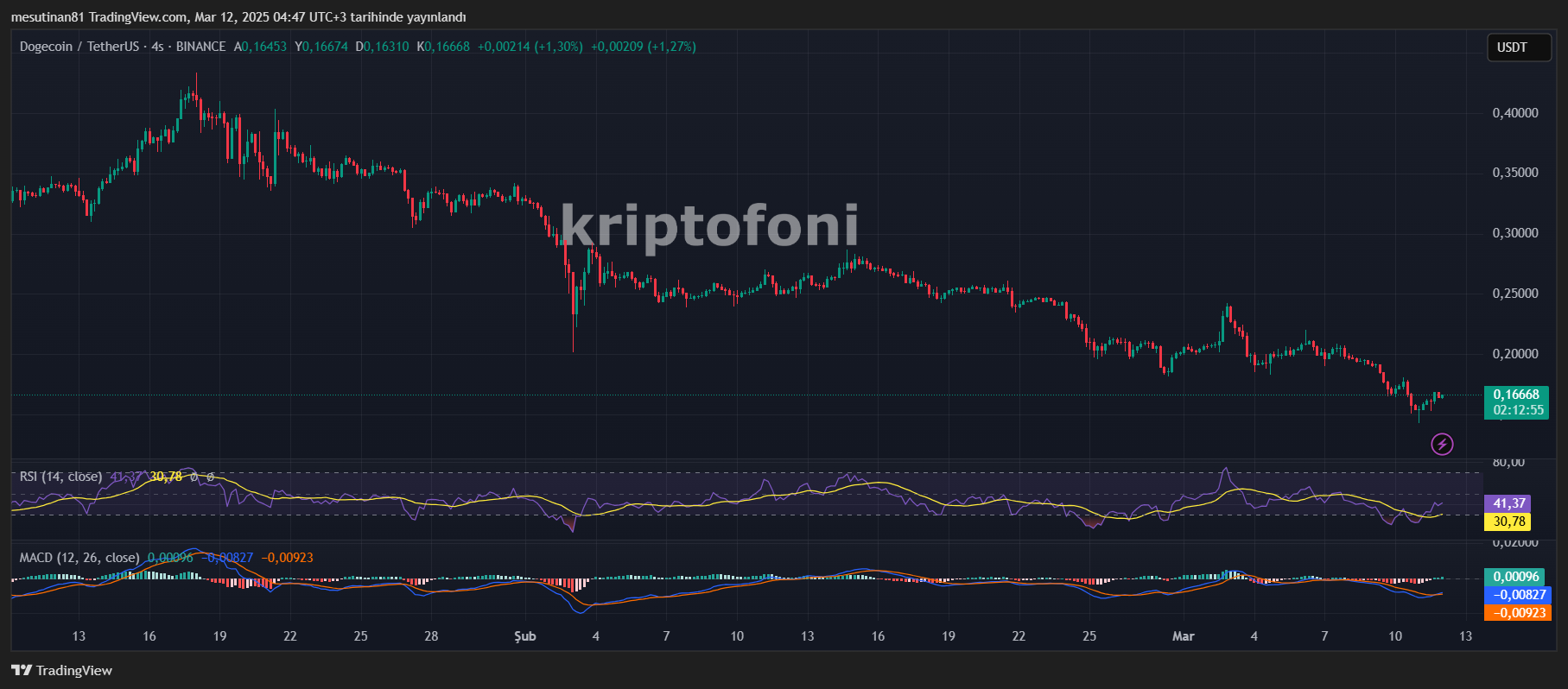 Elon Musk Artık Etki Etmiyor! Dogecoin Beklentileri Karşılamadı - 1