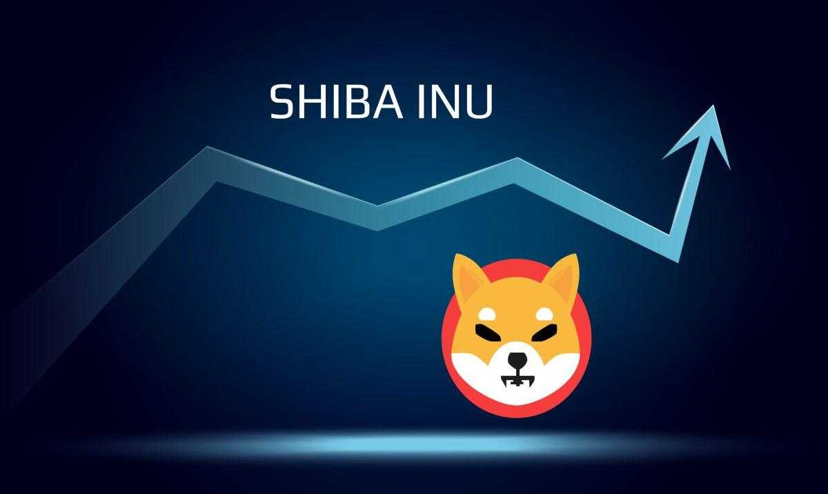 Shiba Inu 0,01 Dolara Ulaşabilir mi? SHIB Yakım Oranı Yüzde 500 Arttı - 1