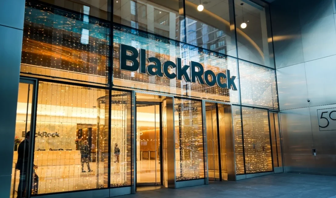 Blackrock Nedir? Blackrock, ETF pazarında dünya lideri olan ve 11.5 trilyon doların