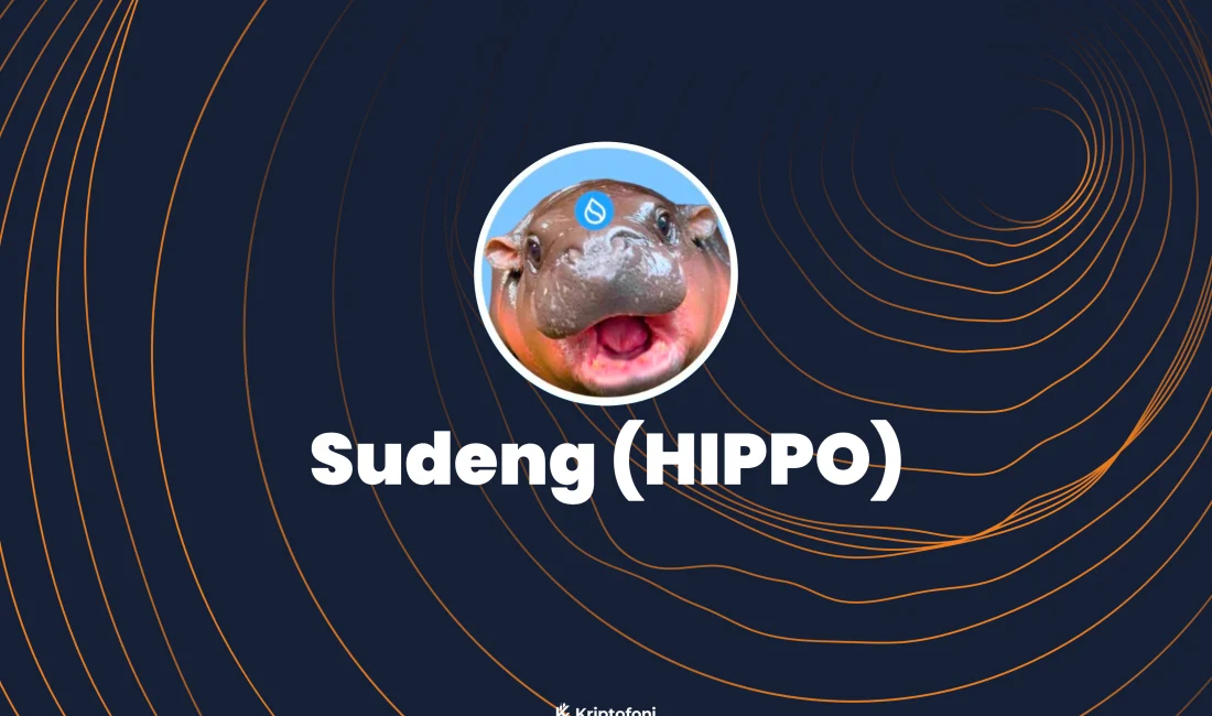 Sudeng (HIPPO) Coin Nedir? Sui ağı üzerindeki yer alan Sudeng (HIPPO) Coin lansmanından kısa