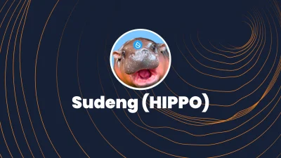 Sui ağı üzerindeki yer alan Sudeng (HIPPO) Coin lansmanından kısa