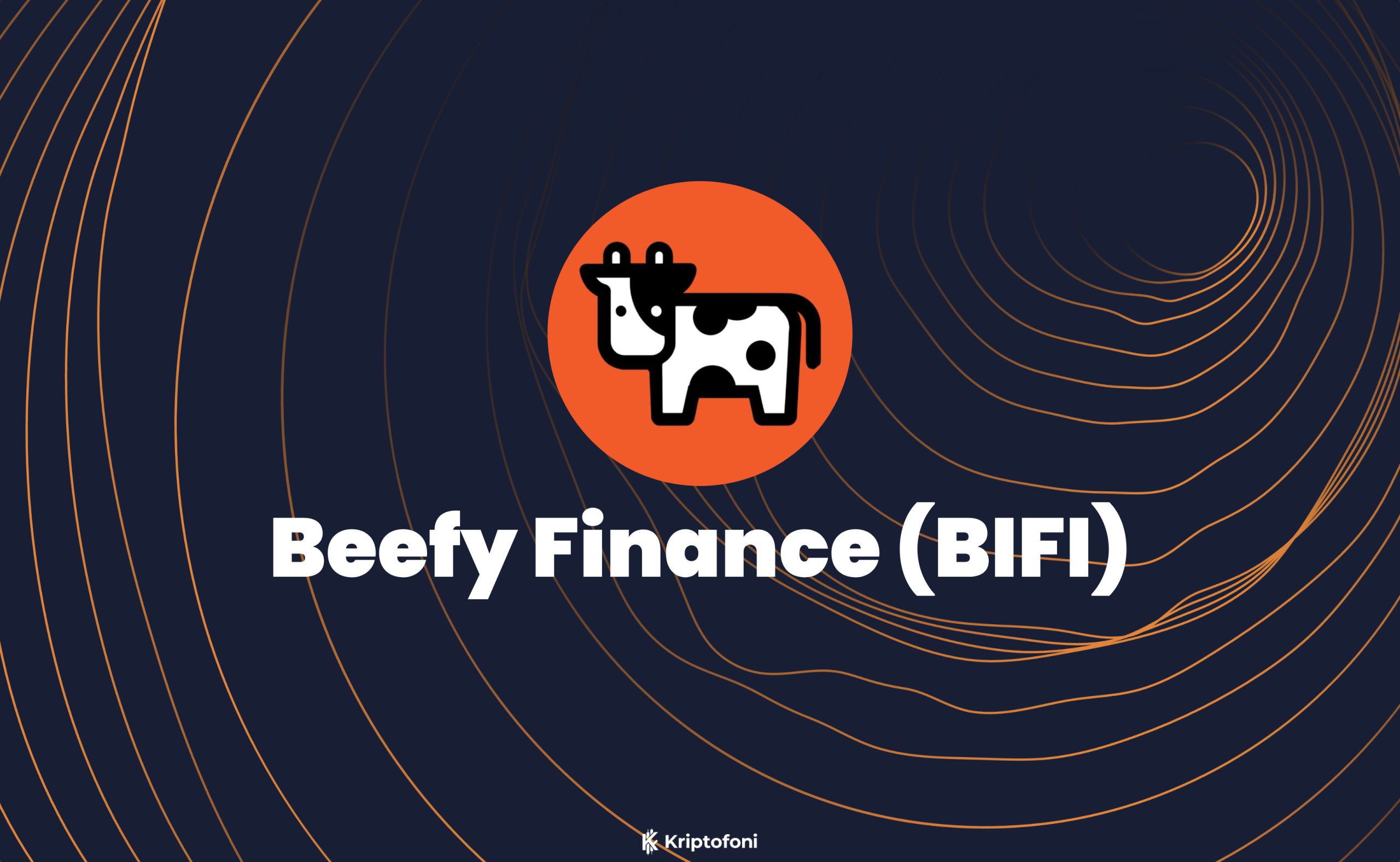 Beefy Finance (BIFI) Coin Nedir? - Kriptofoni