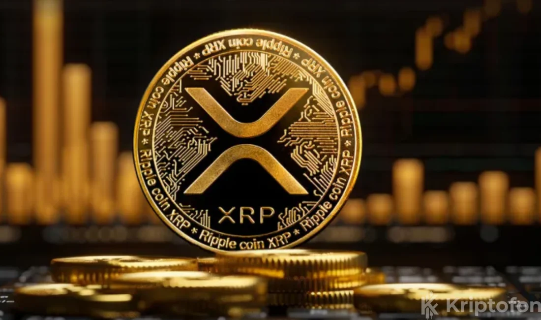Canary Capital CEO’su Steven McClurg, XRP’nin Wall Street’te Bitcoin’den sonra