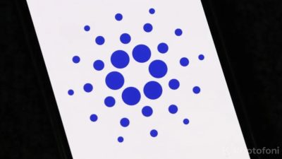 Son 48 saatte 180 milyon ADA balinalar tarafından toplandı ve