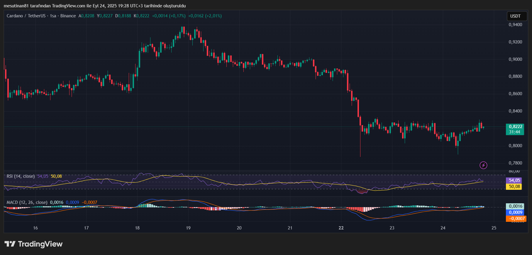 Cardano Fiyat Grafiği