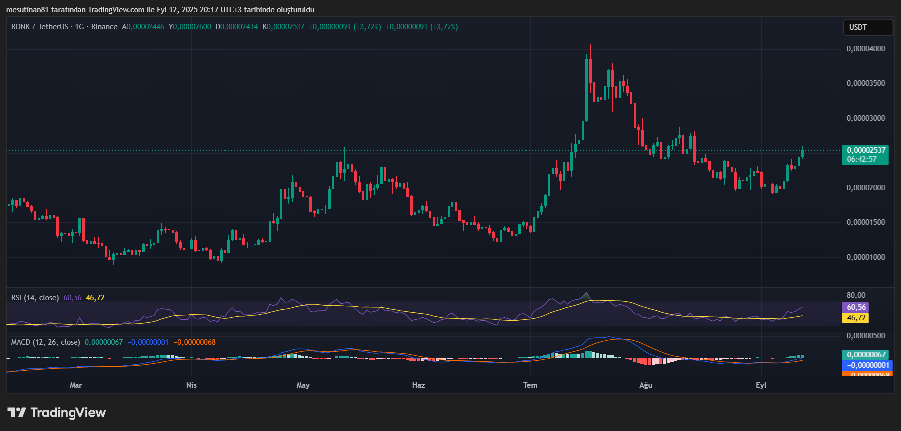 BONK Coin Fiyat Grafiği