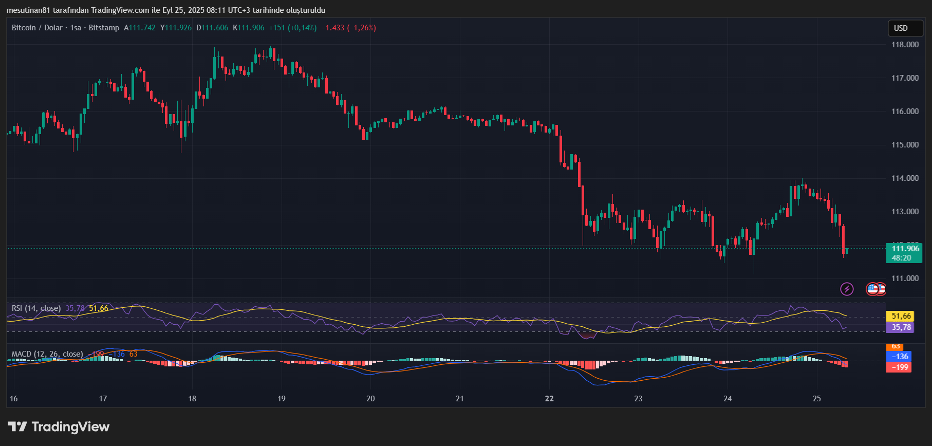 Bitcoin Fiyat Grafiği
