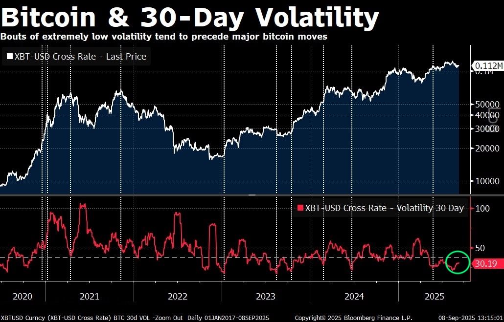 Bitcoin 30 Günlük Volatilite