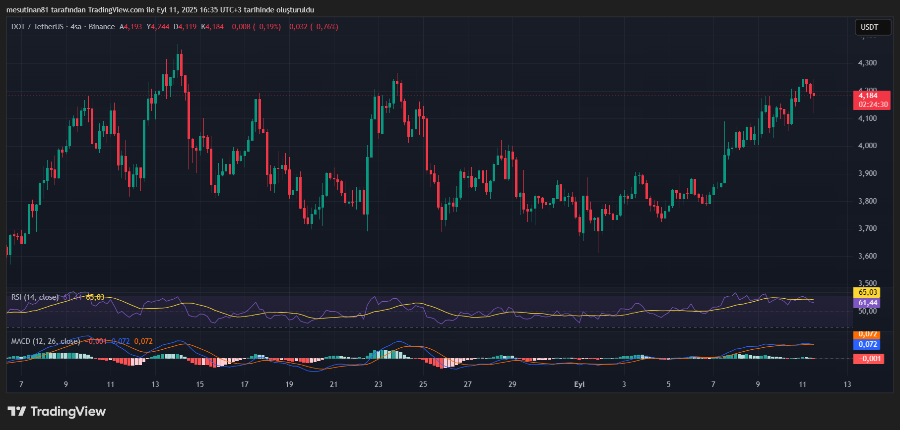 DOT Coin Fiyat Grafiği