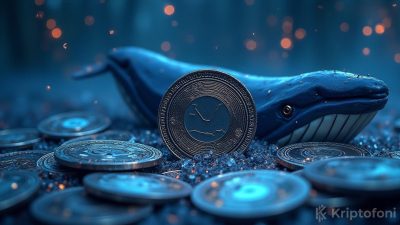 İki balina popüler altcoin AVAX'ta bullish moduna geçtiler. Her iki