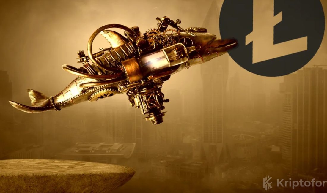 Binlerce LTC Alan Litecoin Balinaları Sahaya İndi Litecoin balinaları atağa kalkmış durumdalar. 20 milyon doların üzerinde alım