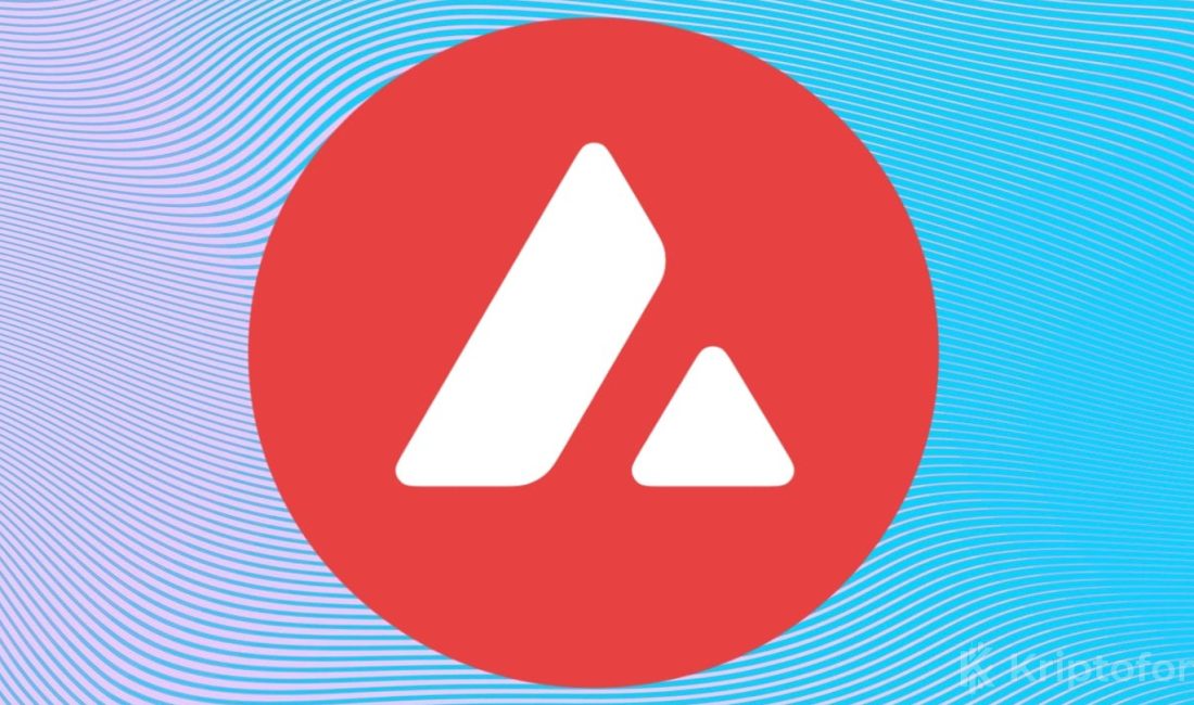 AVAX bugün Şubat ayından bu yana ilk defa 30 dolar