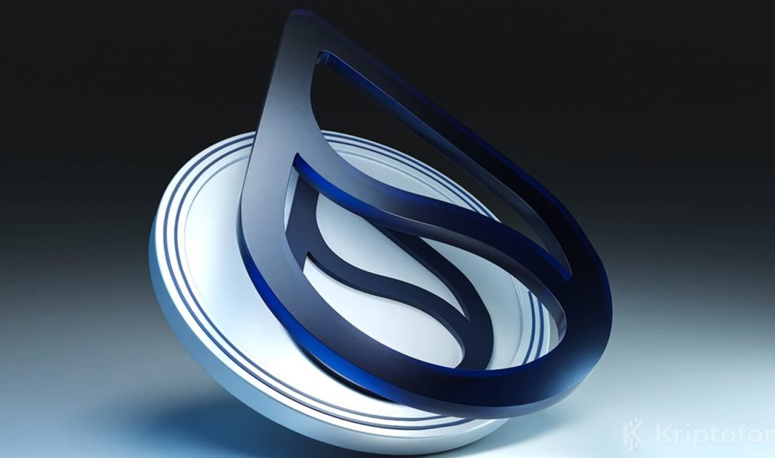 Ünlü Şirket Altcoin Hazinesini Büyüttü: 300 Milyon Dolar Aşıldı Sui Group bugün önemli bir açıklama yaptı. Yaklaşık 344 milyon