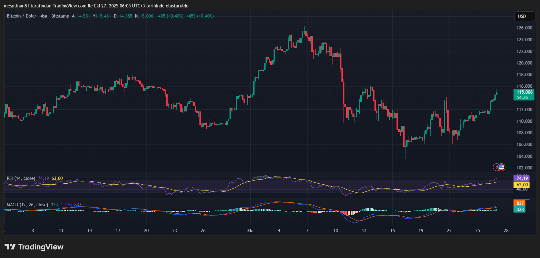 Bitcoin Fiyat Grafiği