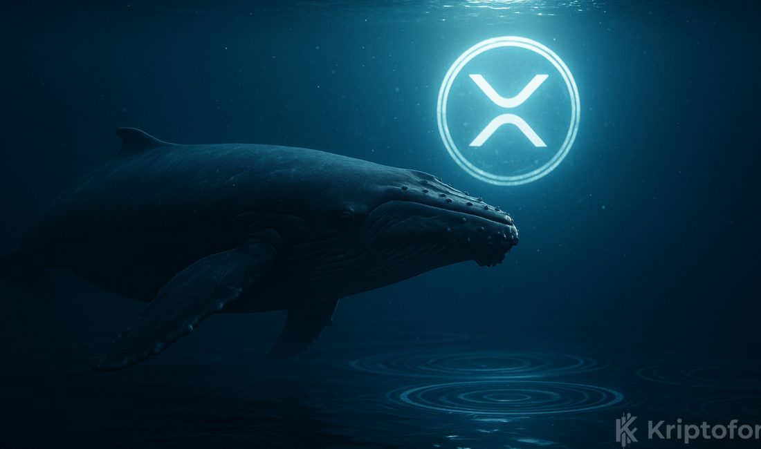 Devasa XRP Transferinin Sırrı Çözüldü: Kim Bu Balina?  Whale Alert 211 milyon XRP'nin hareketine dair paylaşım yapınca hareketin