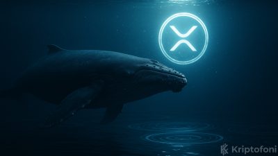 Whale Alert 211 milyon XRP'nin hareketine dair paylaşım yapınca hareketin