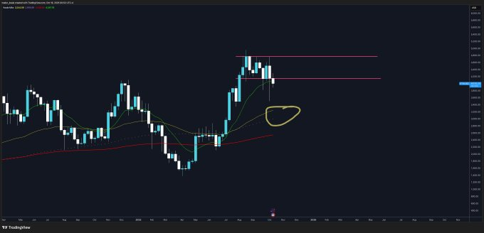 Trader Koala