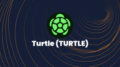 Turtle coin, Web3’te likiditeyi şeffaf, güvenli ve teşvik temelli biçimde
