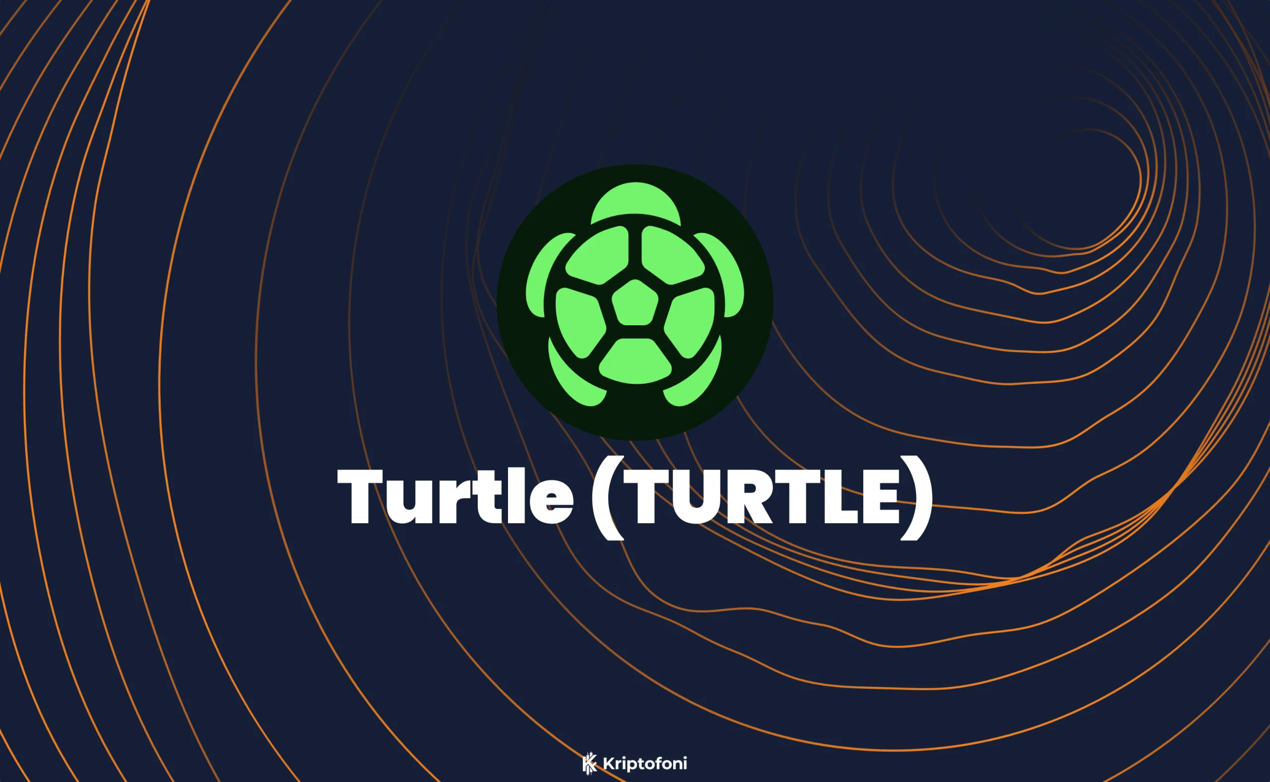 Turtle Coin Icon Turtle Coin Nedir? - Kriptofoni