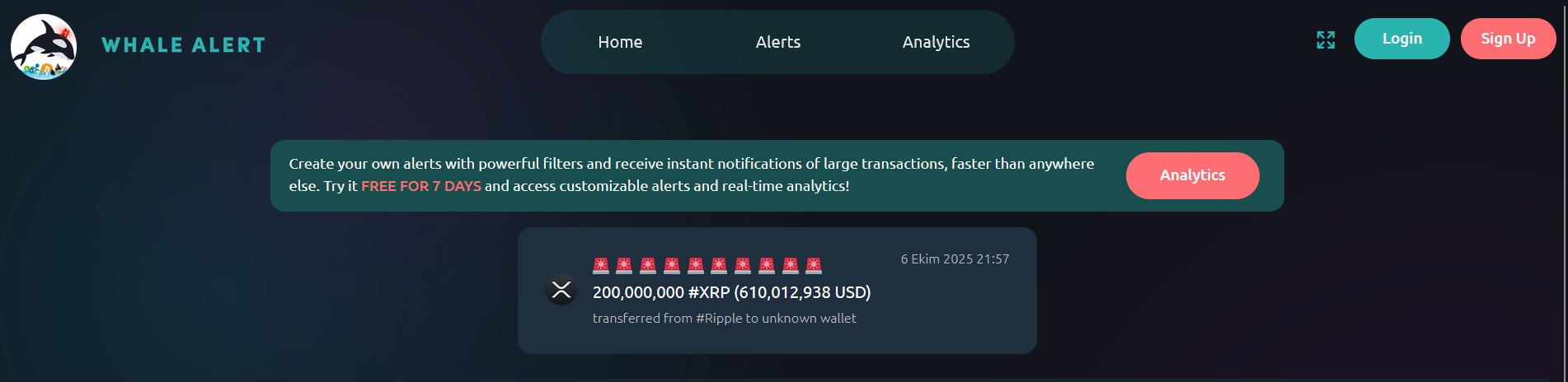 Whale Alert