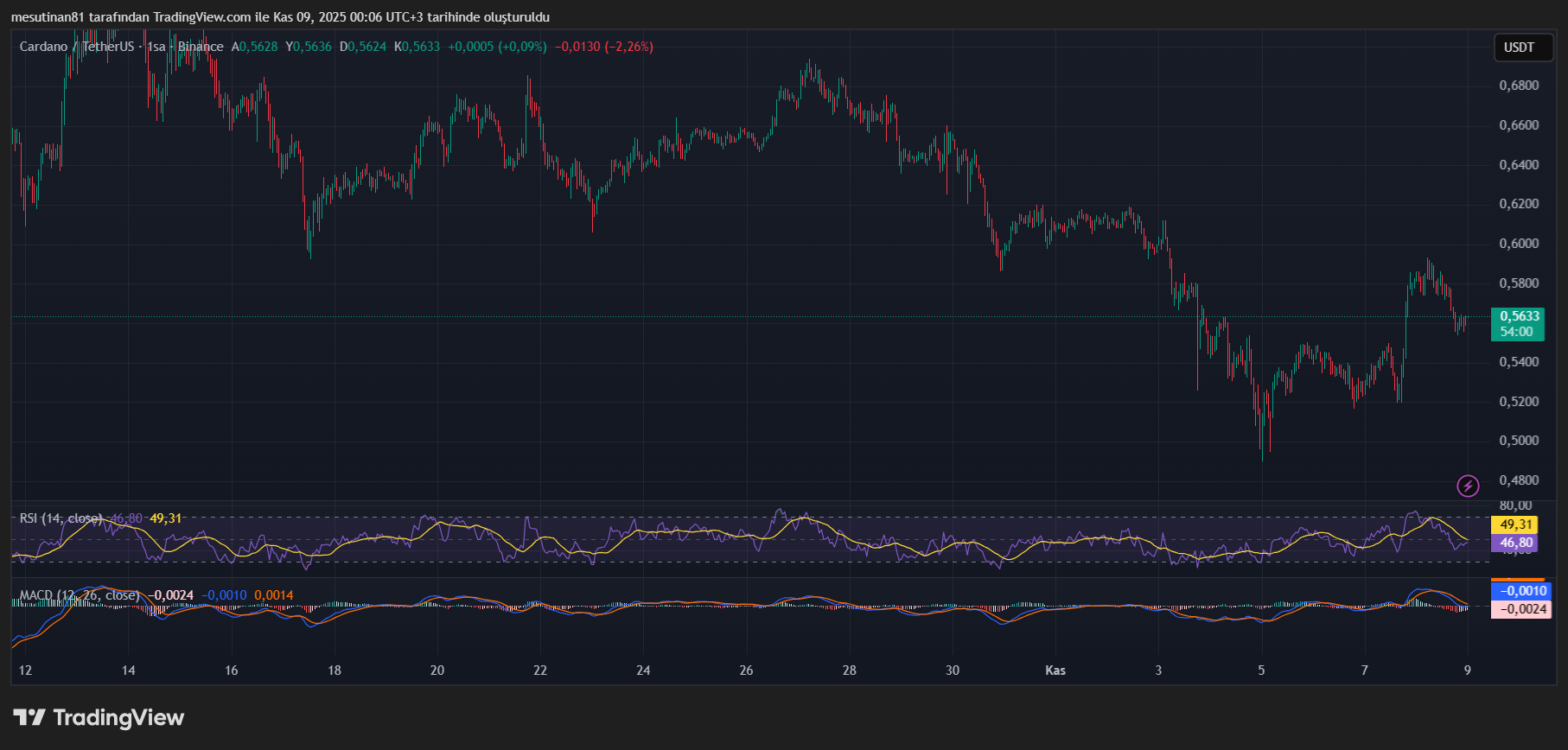 ADA Coin Fiyat Grafiği