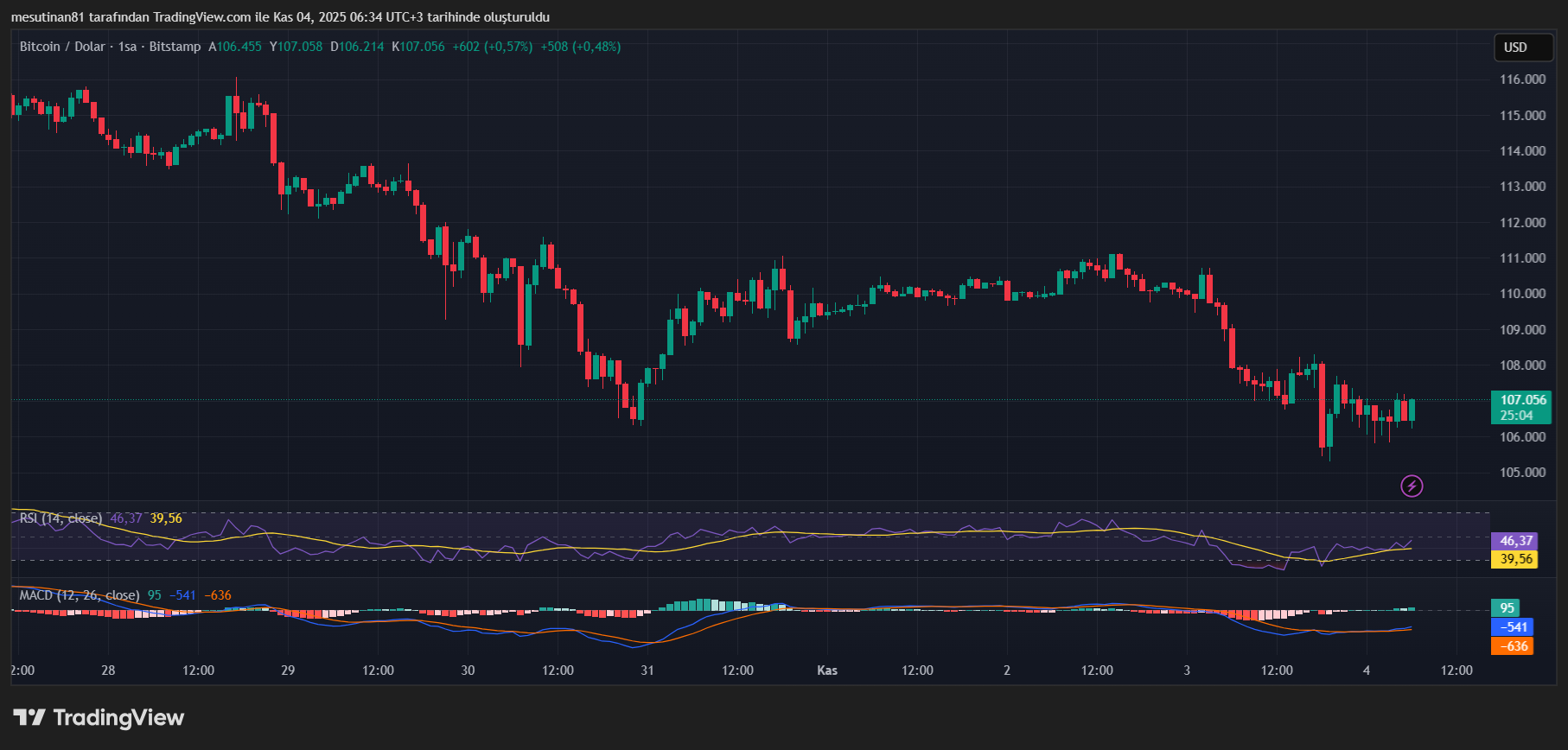 Bitcoin Fiyat Grafiği